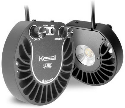 Kessil A80 Controllable LED Aquarium Light - Tuna Blue