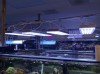 24 Inch Orphek Power Reef PR156W LED Light Fixture ** USED **